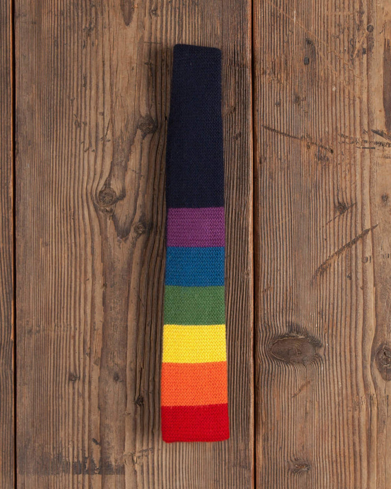 Alicia Adams Alpaca Rainbow Tie, pride gifts, alpaca tie, alpaca vs cashmere, pride tie,