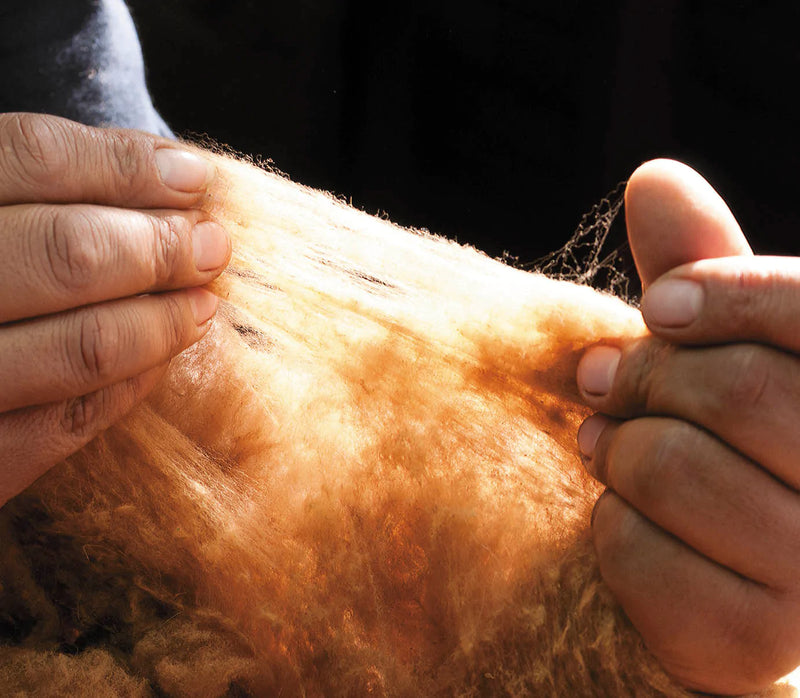 Vicuña Lightweight Shawl