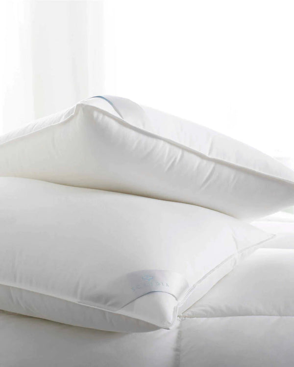 scandia down bergen down-free pillow, scandia home bergen down-free pillow, scandia down mattress topper, scandia home mattress topper