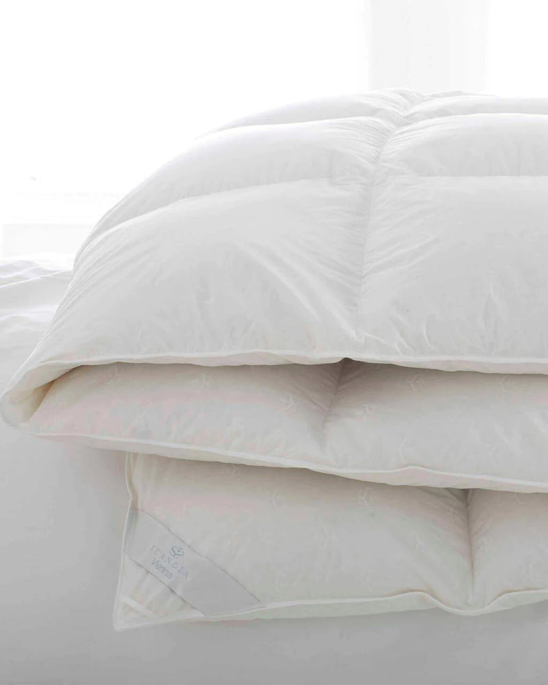scandia down vienna down comforter, scandia home vienna down comforter, scandia down duvet, scandia home duvet